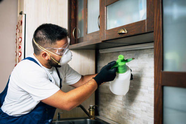 Best Cockroach Control Services  in Central High, OK
