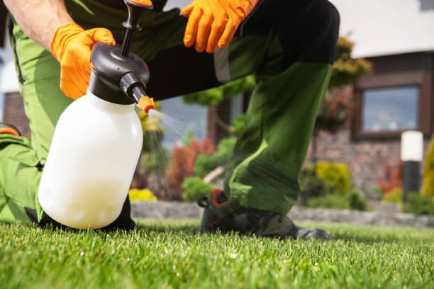 Best Emergency Pest Control  in Central High, OK