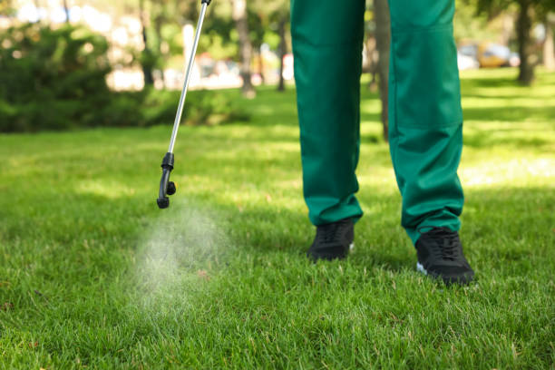 Best Local Pest Control Services  in Central High, OK