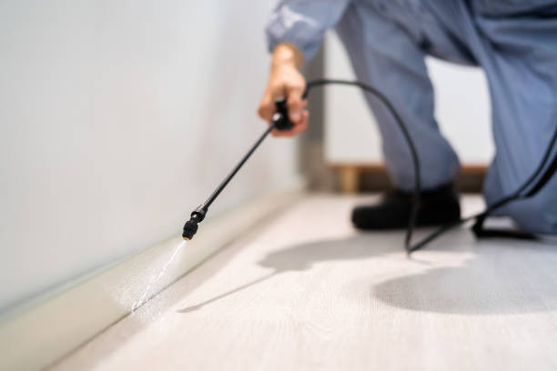 Best Residential Pest Control  in Central High, OK