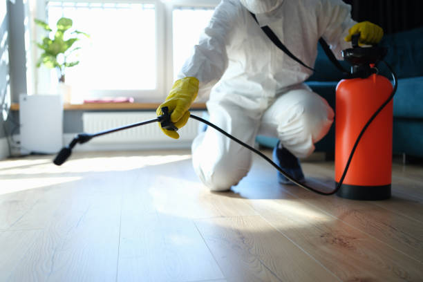 Best Termite Control Services  in Central High, OK