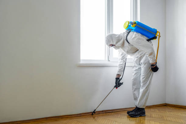 Best Wildlife Control Services  in Central High, OK