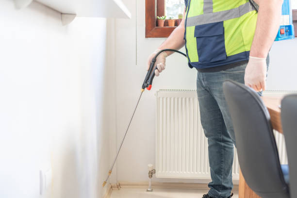 Best Wasp Removal Services  in Central High, OK