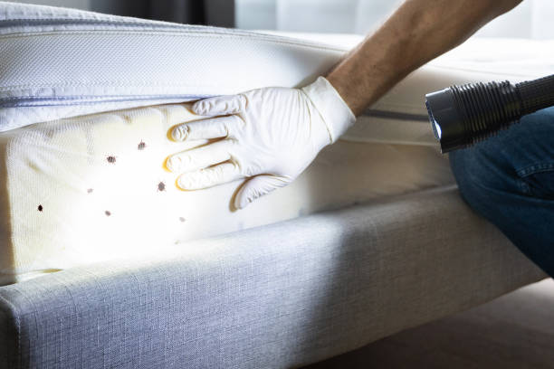 Best Cockroach Control Services  in Central High, OK
