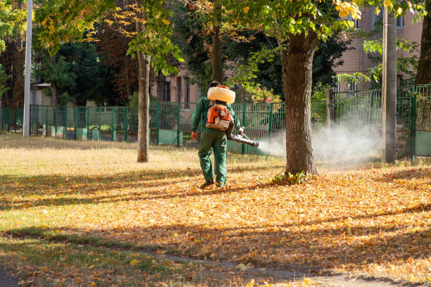 Best Affordable Pest Control Services  in Central High, OK