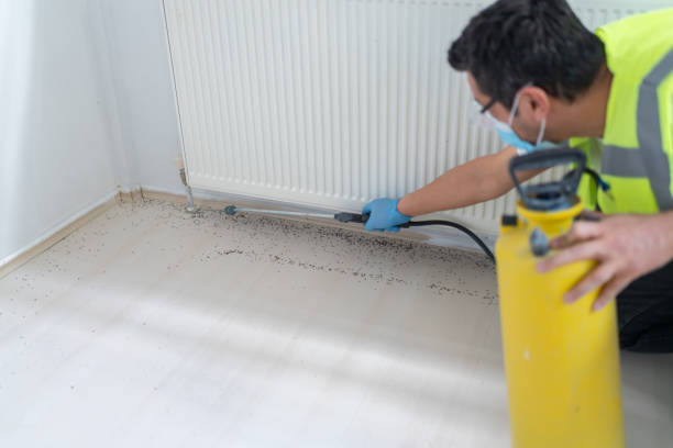 Best Best Pest Control Companies  in Central High, OK
