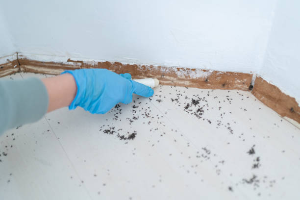 Best Best Pest Control Companies  in Central High, OK