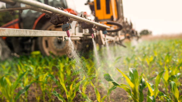 Best Mosquito Control Services  in Central High, OK